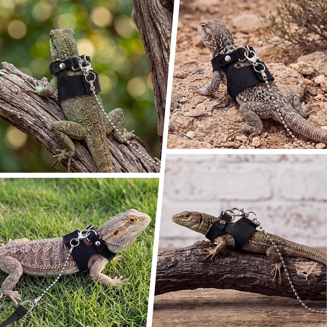4pcs Bearded Dragon Harness and Leash Set for Small Reptile