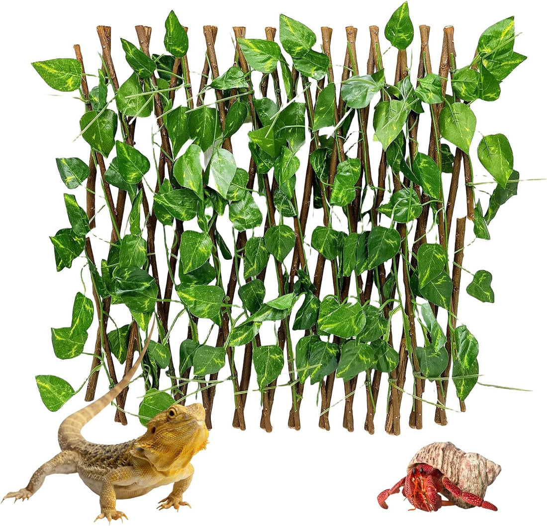 Reptile Hermit Crab Climbing Wall Toy Bearded Dragon Climb Tank