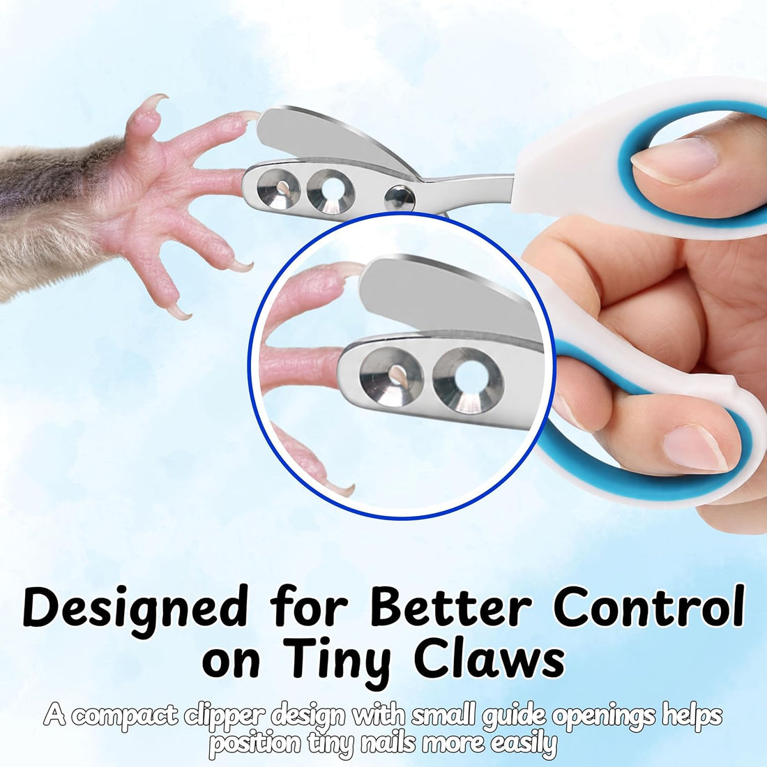 Sugar Glider Nail Trimming Kit with Handling Glove and Nail Scissors