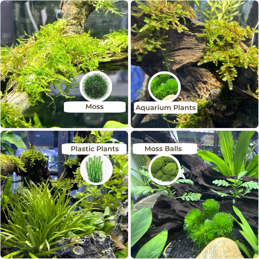 Natural Aquarium Driftwood Fish Tank Decorations Reptile Decor