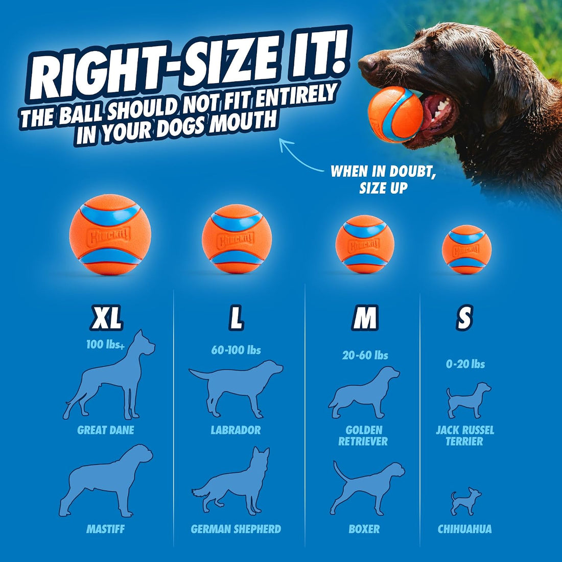 Chuckit! Ultra and Rugged Dog Balls, High-Bounce Fetch, Medium