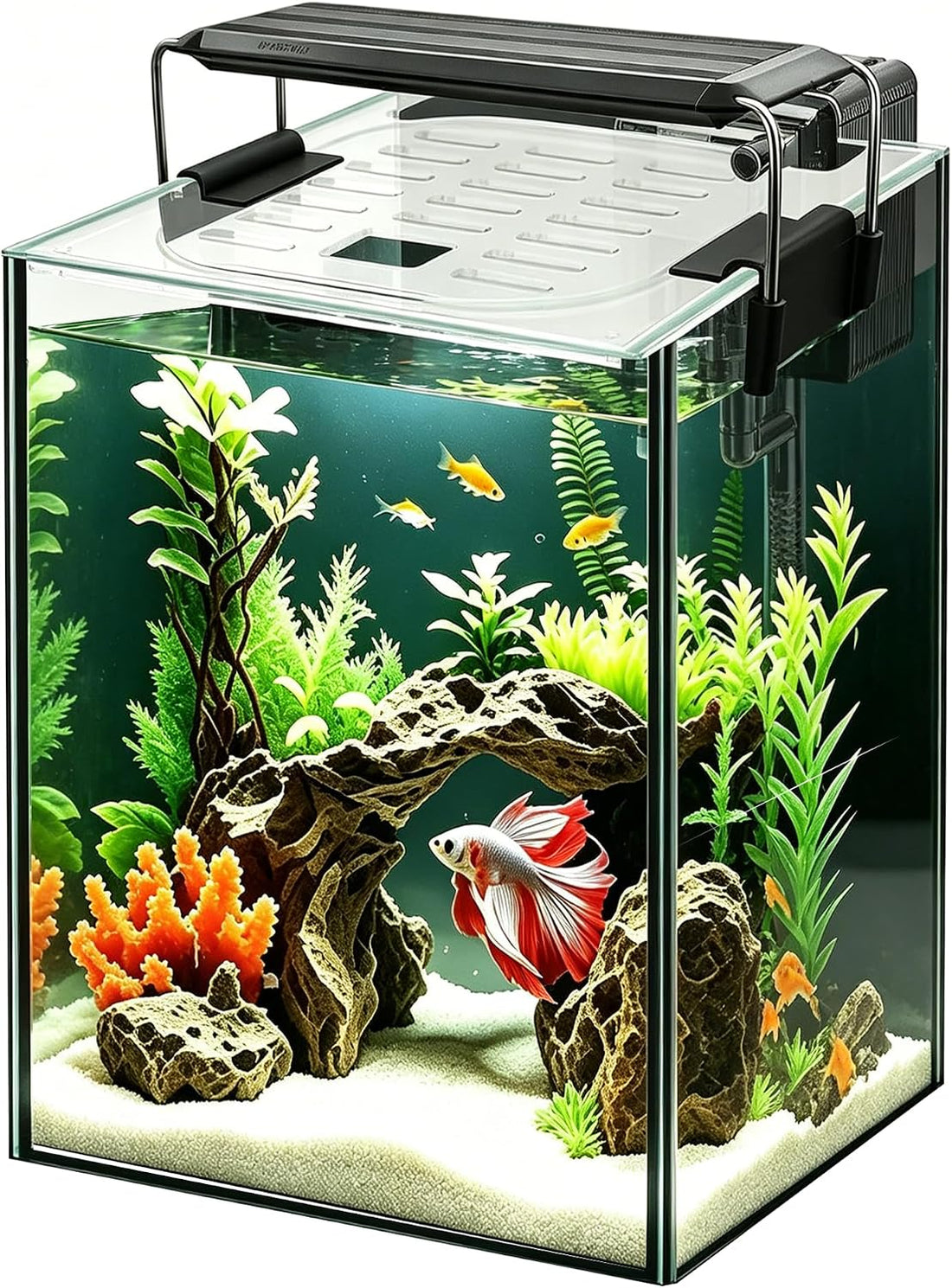 Ultra White Glass Aquarium Starter Kits 1.5 Gallon Small Fish Tank