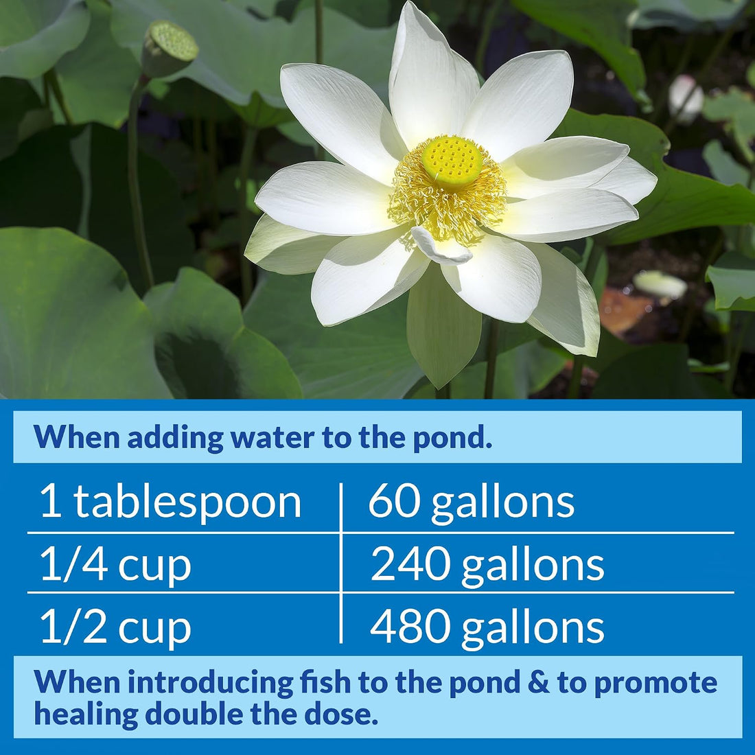 API POND STRESS COAT Pond Water Conditioner