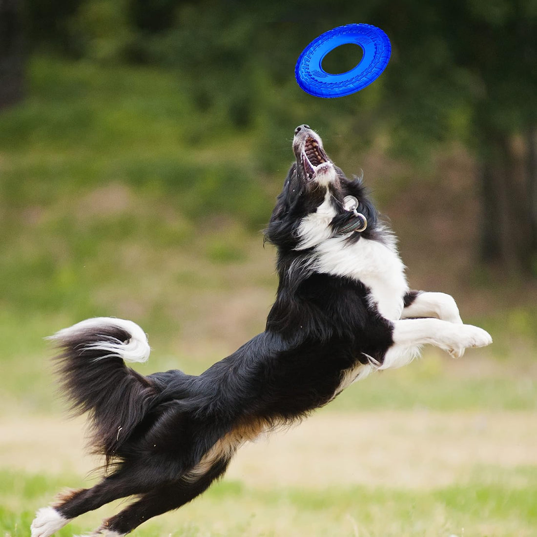 Nerf Dog 10in Enhanced Translucent TPR Tire Flyer - Blue,Medium Breeds