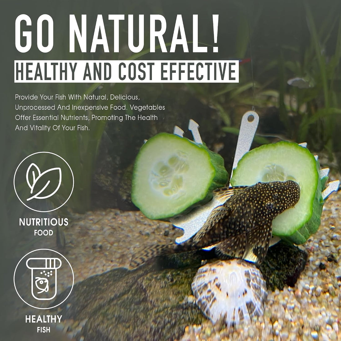 Aquarium Veggie Feeder Cucumber Holder for Pleco & Snails
