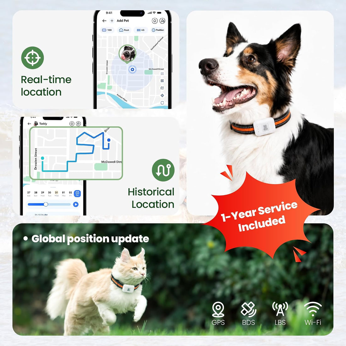 Dog Tracker GPS, Real Time Tracking & Virtual Fence 1-Year Service