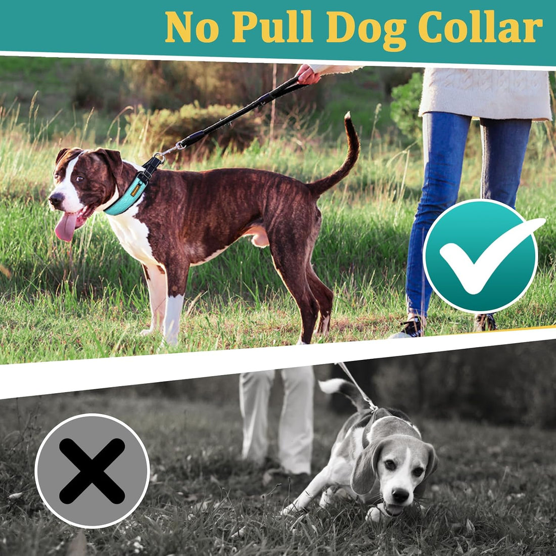 Mayerzon No Pull Collar for Large Medium Dogs Walking that Pull, Cyan