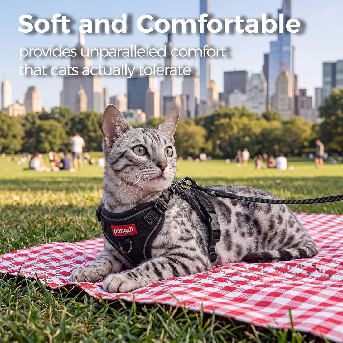 Cat Harness and Leash Set, Lightweight Air-Mesh Cat Vest, Black, XL