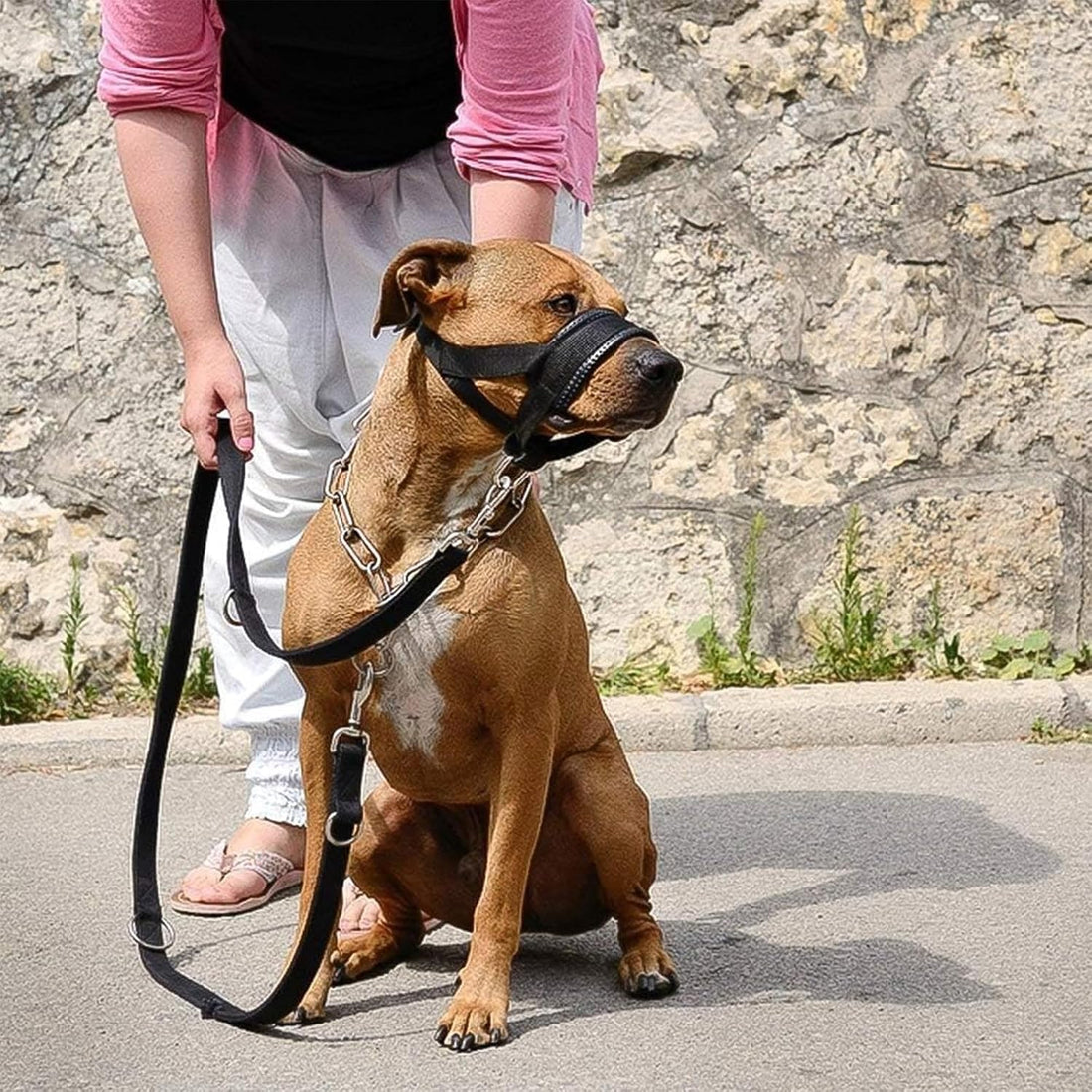 Nylon Dog Muzzle for Small,Medium,Large Dogs Prevent from