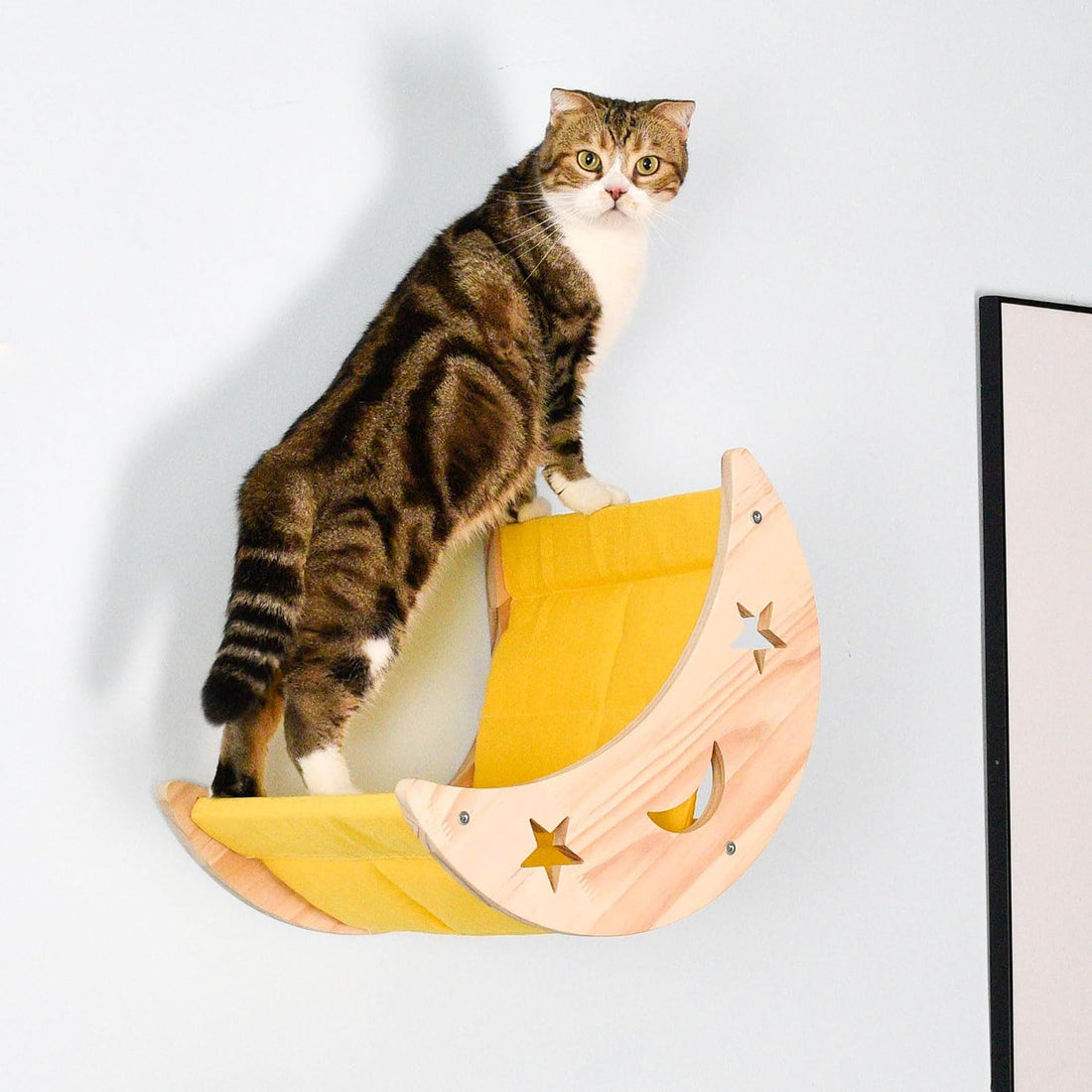 Wall Cat Bed Moon Hammock Wall Mounted Shelf with 2 Steps Climbing