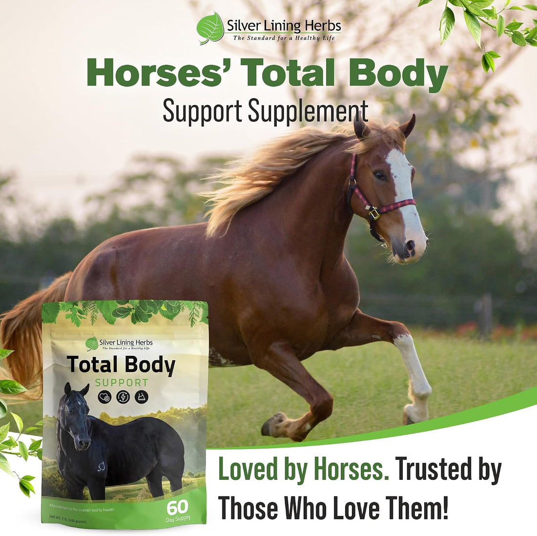 Silver Lining Herbs Total Body Supplement - Healthy Coat for Horses