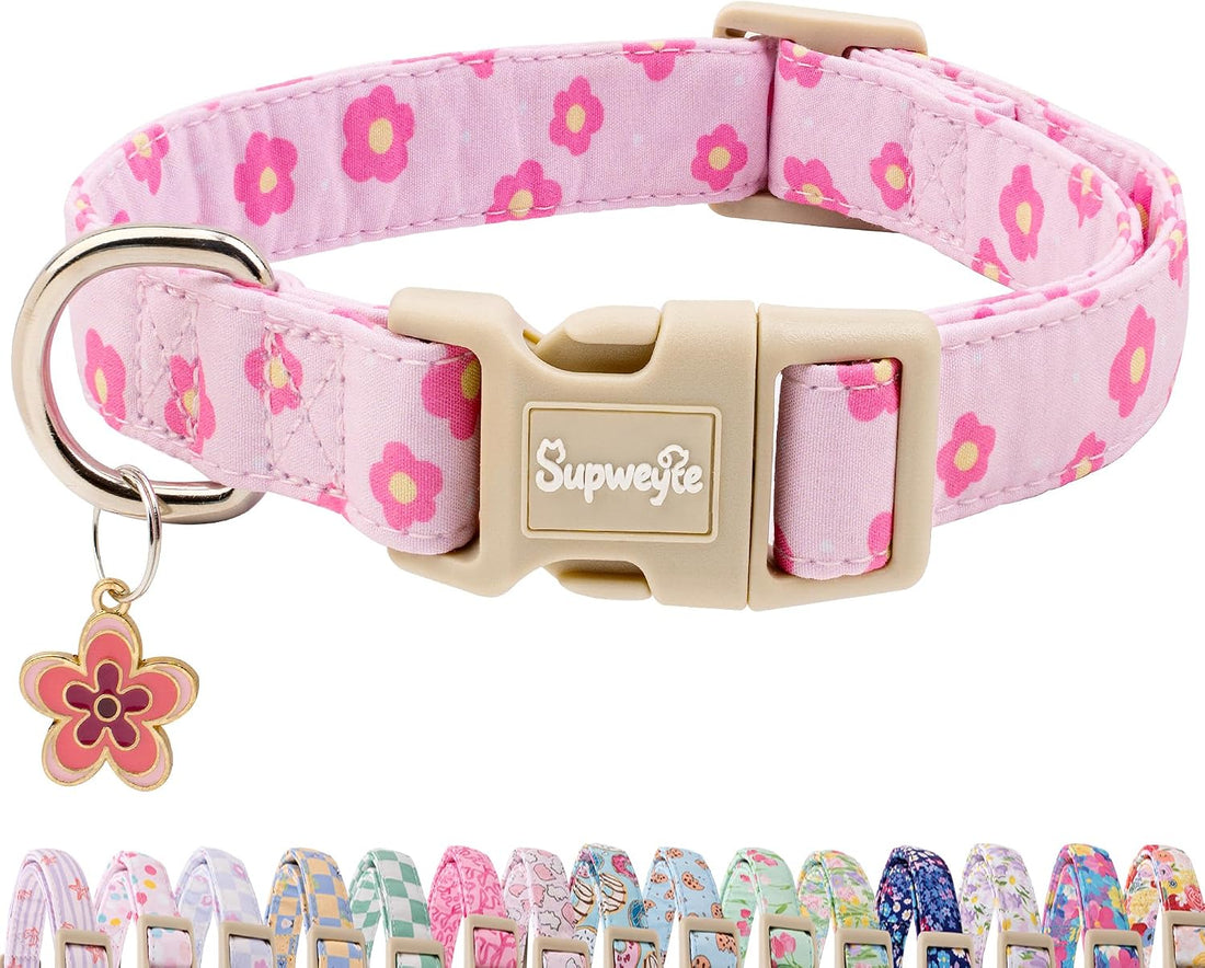 Cute Summer Beach Dog Collar for Girls, Bikini Print XS