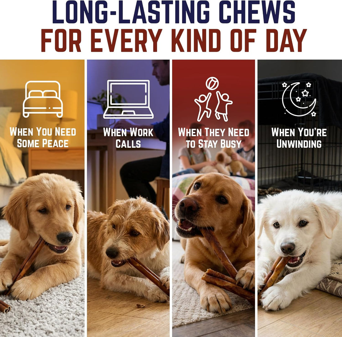 Devil Dog Pet Co Beef Collagen Sticks for Dogs Rawhide Free 6 Inch 10