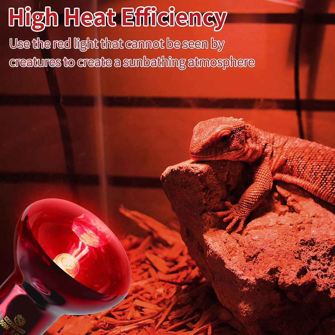 Infrared Reptile Heat Lamp Bulbs,2 PCS 50W Reptiles & Amphibians