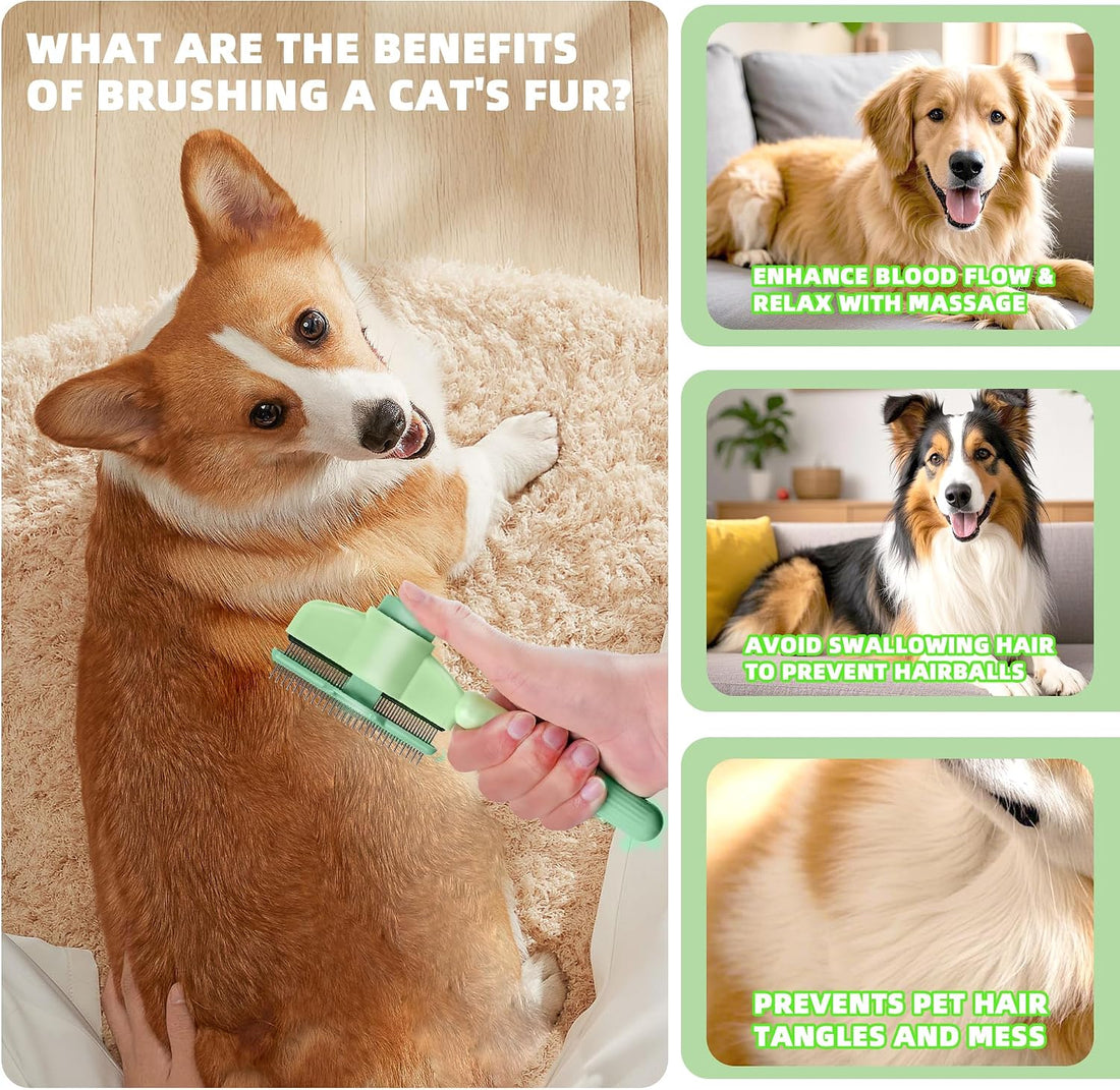 Pet Hair Removal Comb,New Cat Brush with Release Button,Pet Grooming