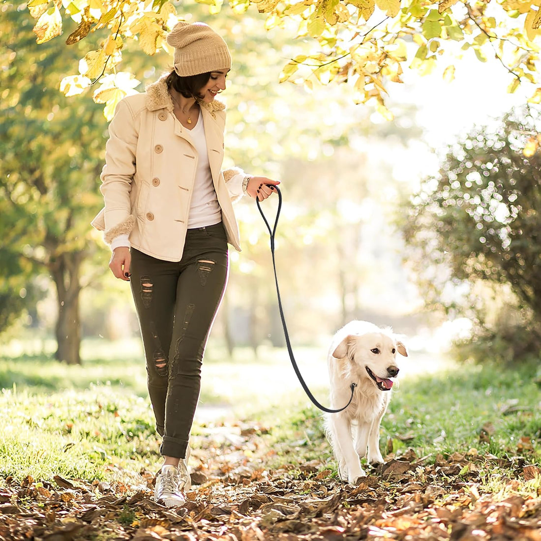 Dogline Biothane Slip Dog Leash - for Small, Medium and Large Dogs