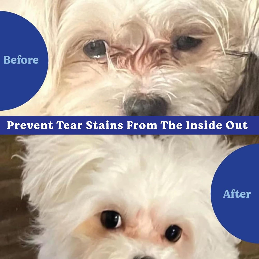 Angels' Eyes Tear Stain Prevention Soft Chews for Dogs