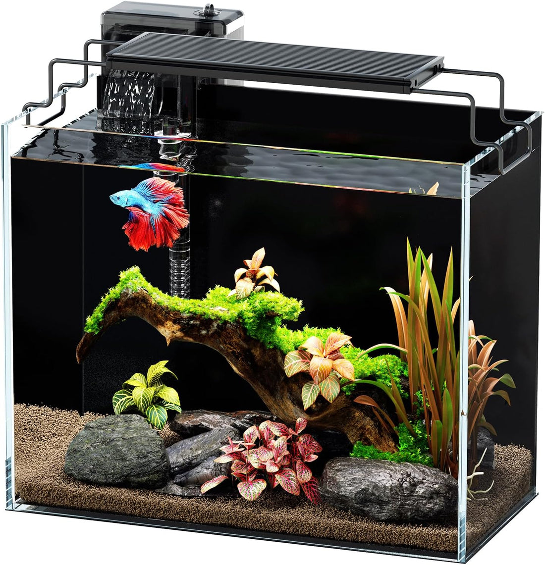 5 Gallon Fish Tank Kit with Filter Light with Timer, Lid Rimless Glass