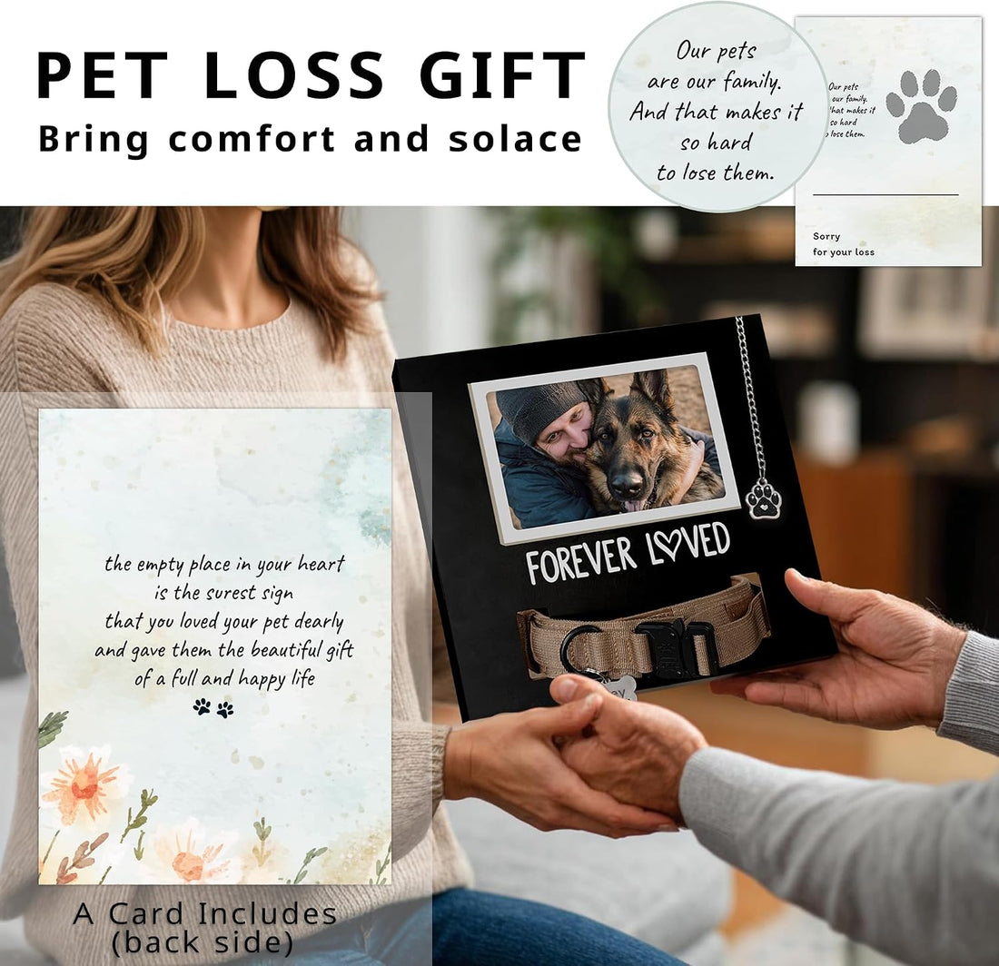 MYPAWLETS Dog/Cat Collar Memorial Frame with Paw Print Charm,Pet Loss
