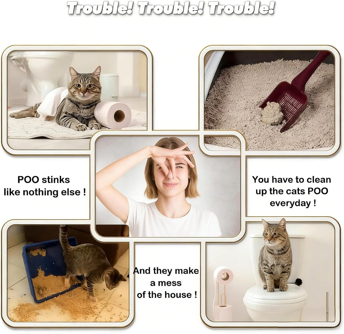 Cat Toilet Training Kit, Reusable Plastic Litter Box Trainer