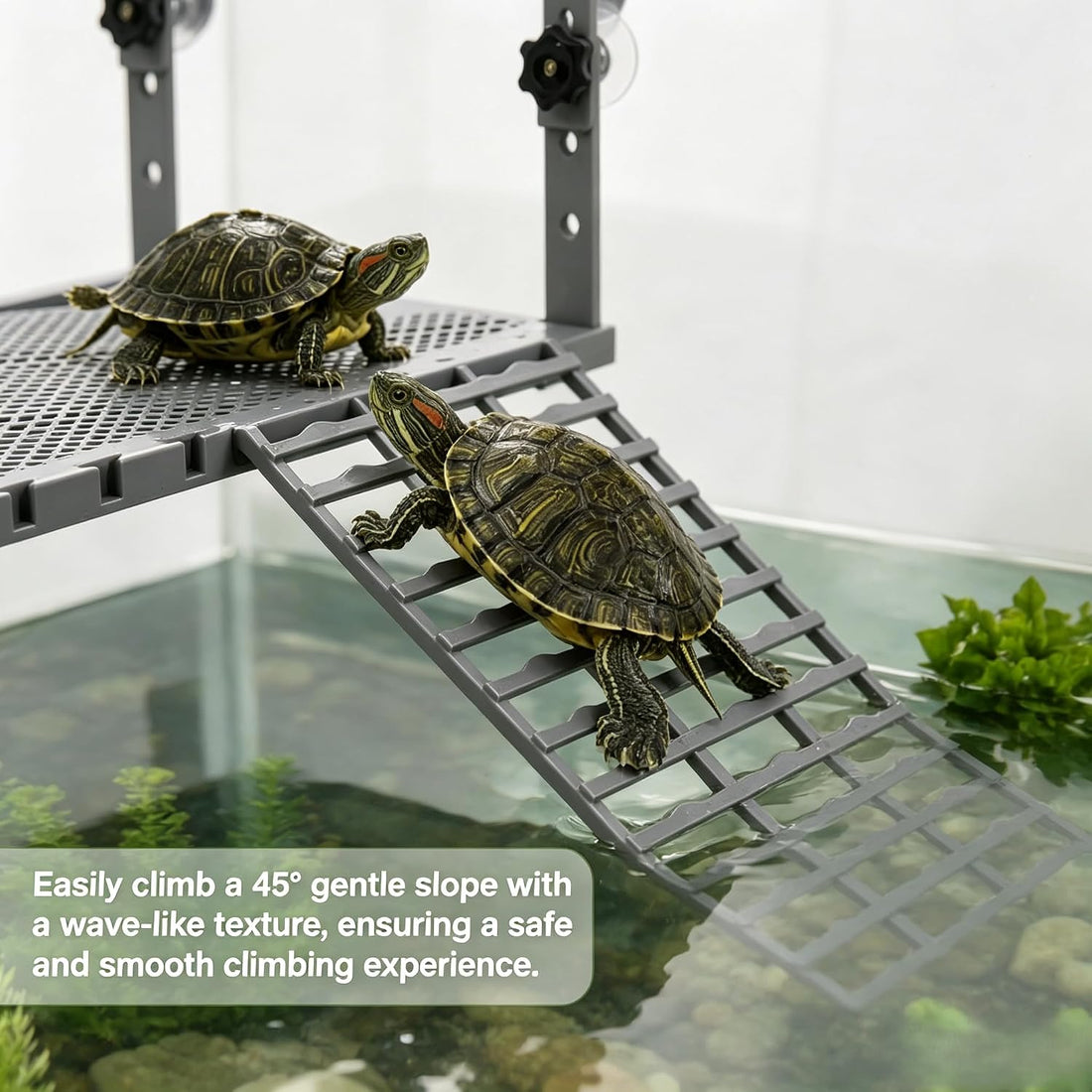 Turtle basking Platform Suitable for 20–75-Gallon Aquariums
