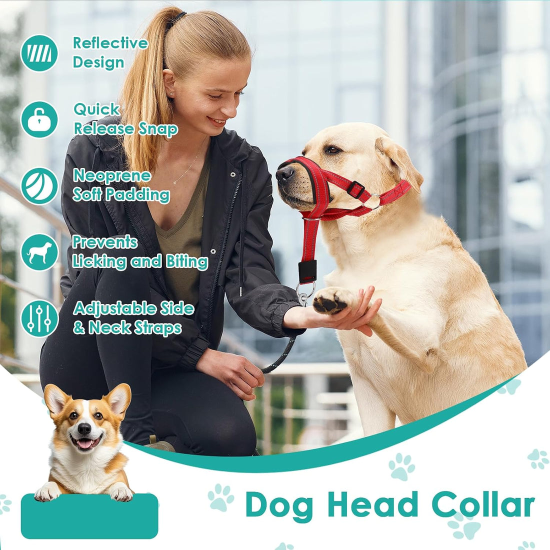 Dog Headcollar, Anti-Pull Dog Collar