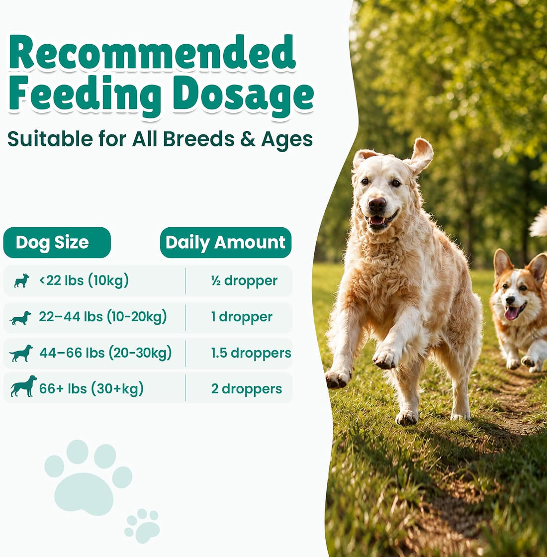 NAD+ Drops for Dogs, Dog Longevity Supplement with NMN & Resveratrol