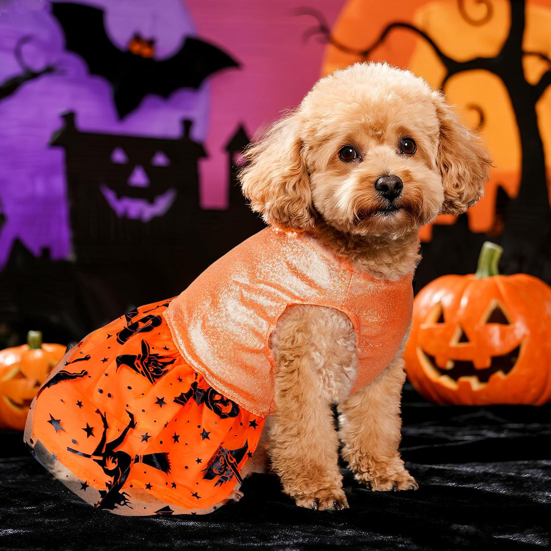 Dog Halloween Costume Dog Dress Witch Tulle Skirt Halloween Pet