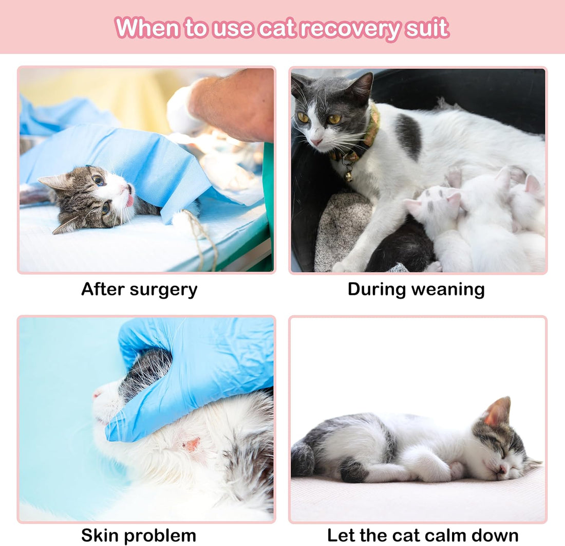 PUMYPOREITY Cat Recovery Onesie - Post-Surgery Kitten Suit, Female