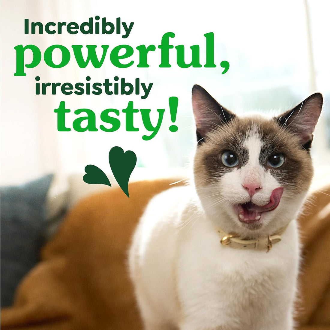 Greenies Cat Treats, Veterinarian-Recommended Adult Natural Dental