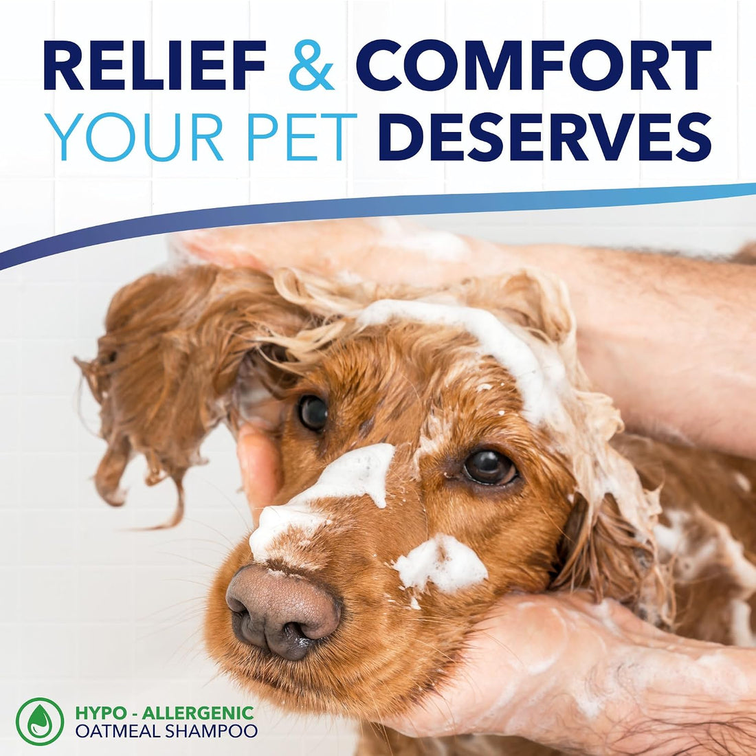 TropiClean OxyMed Hypoallergenic Dog Shampoo for Allergies and Itching