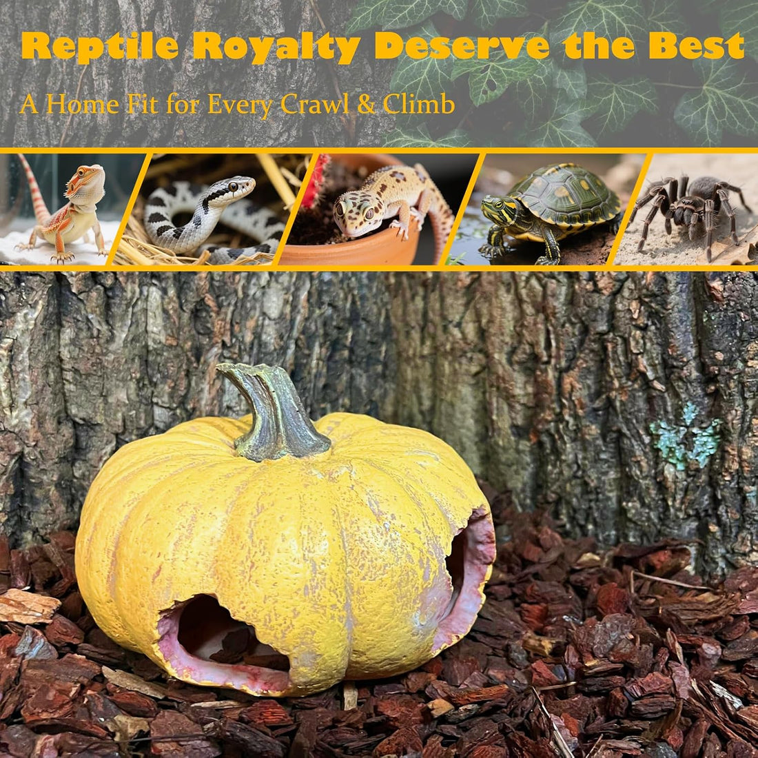 Pumpkin Leopard Gecko Hide Reptile Bearded Dragon Tank Hideout Caves