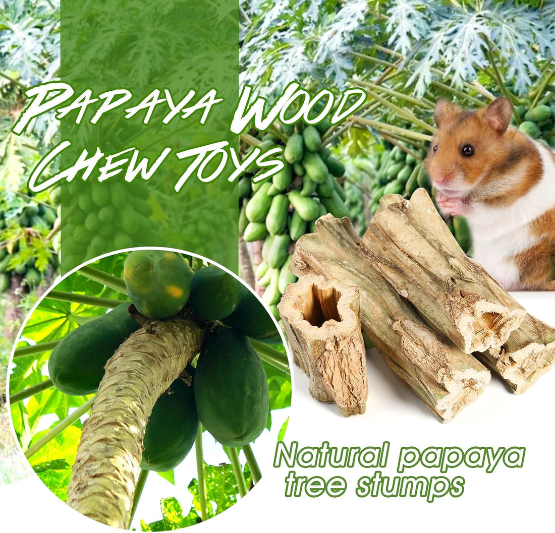 Abizoo Natural Bunny Chew Toys,6 Pcs Organic Papaya Wood Sticks Chew