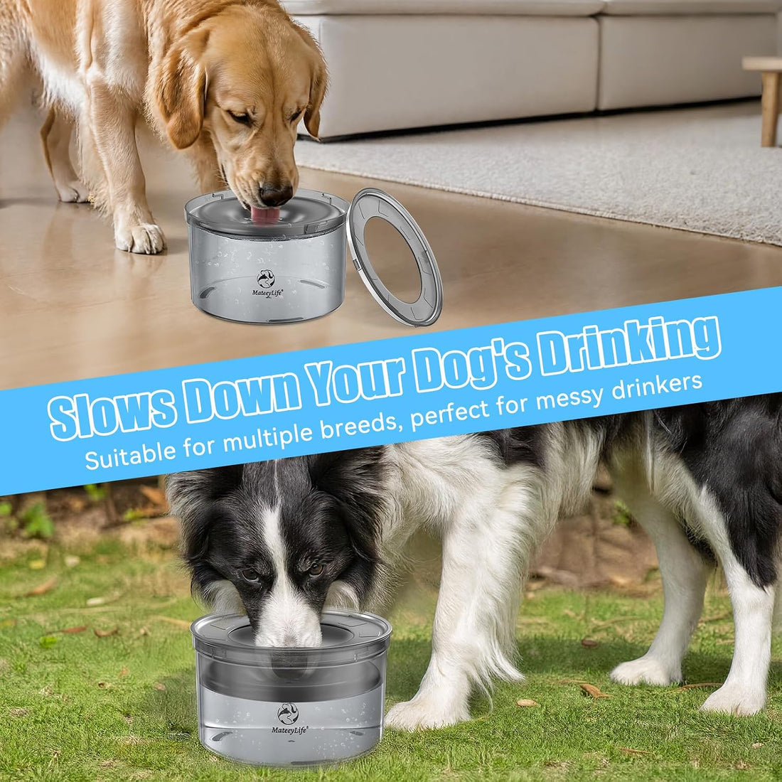 MateeyLife 1 Gallon Dog Water Bowl No Spill 3.8L Large Capacity Slow