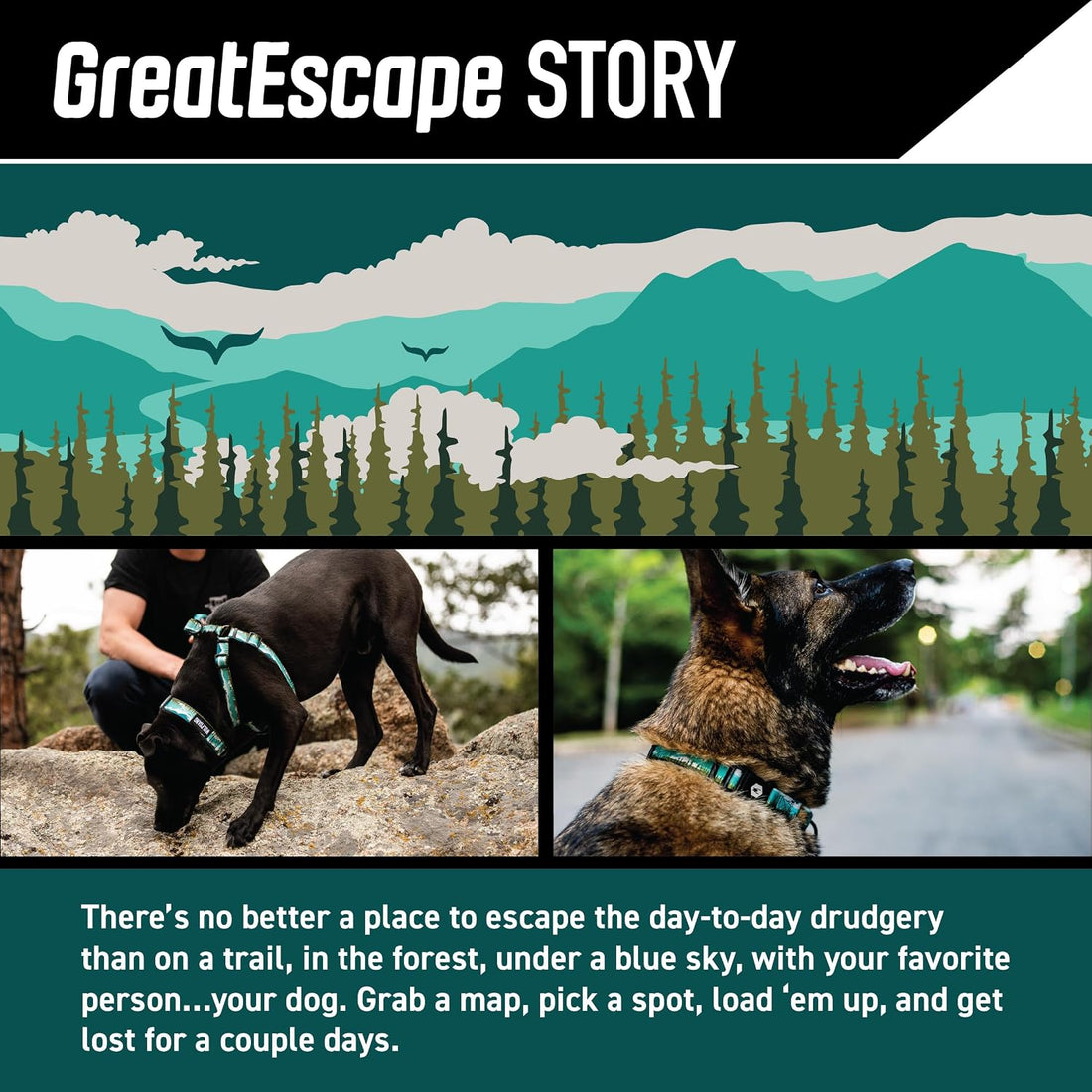 Wolfgang Venture Dog Harness Greatescape Print Large