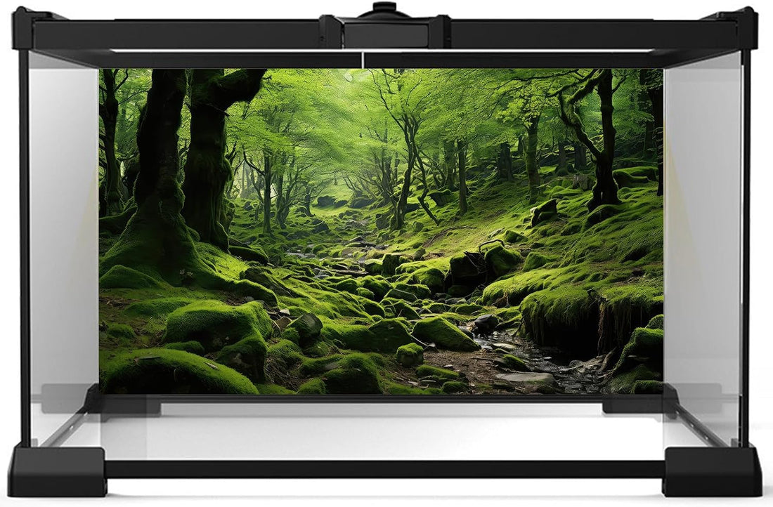 Mystical Dark Forest Aquarium Background Fantasy Glowing Neon Light