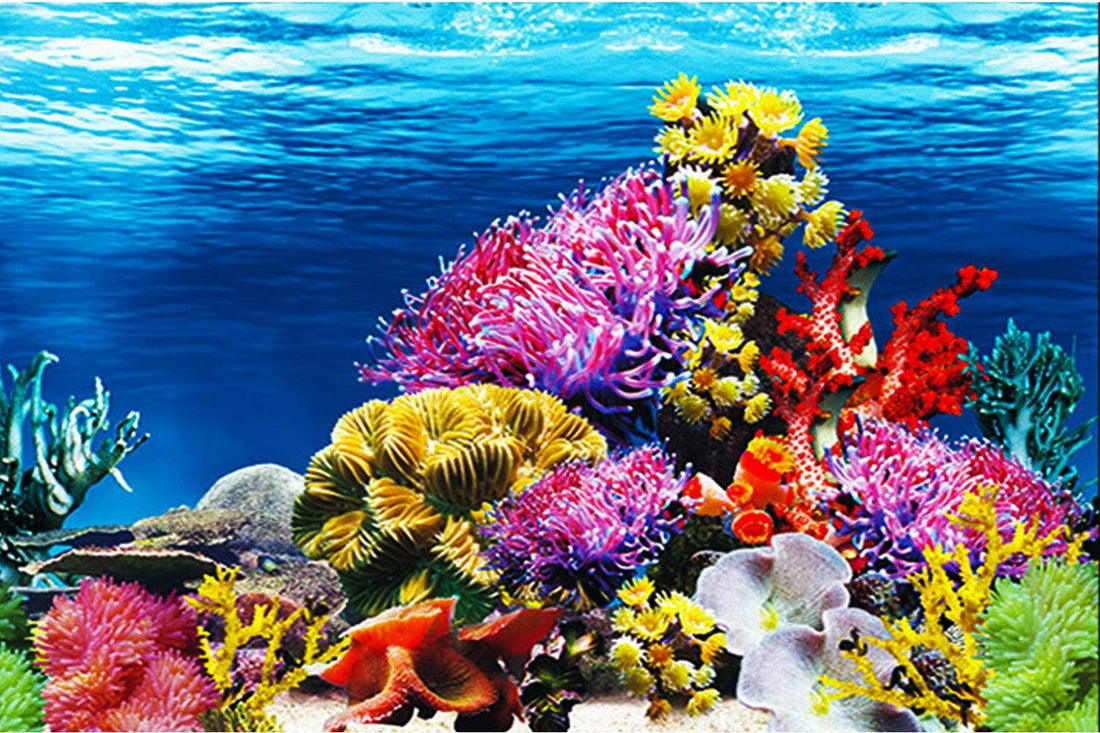 ELEBOX Aquarium Background Poster