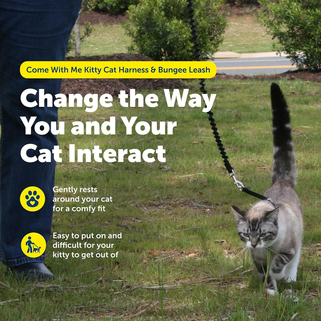 PetSafe Come with Me Kitty Harness and Bungee Leash Adjustable