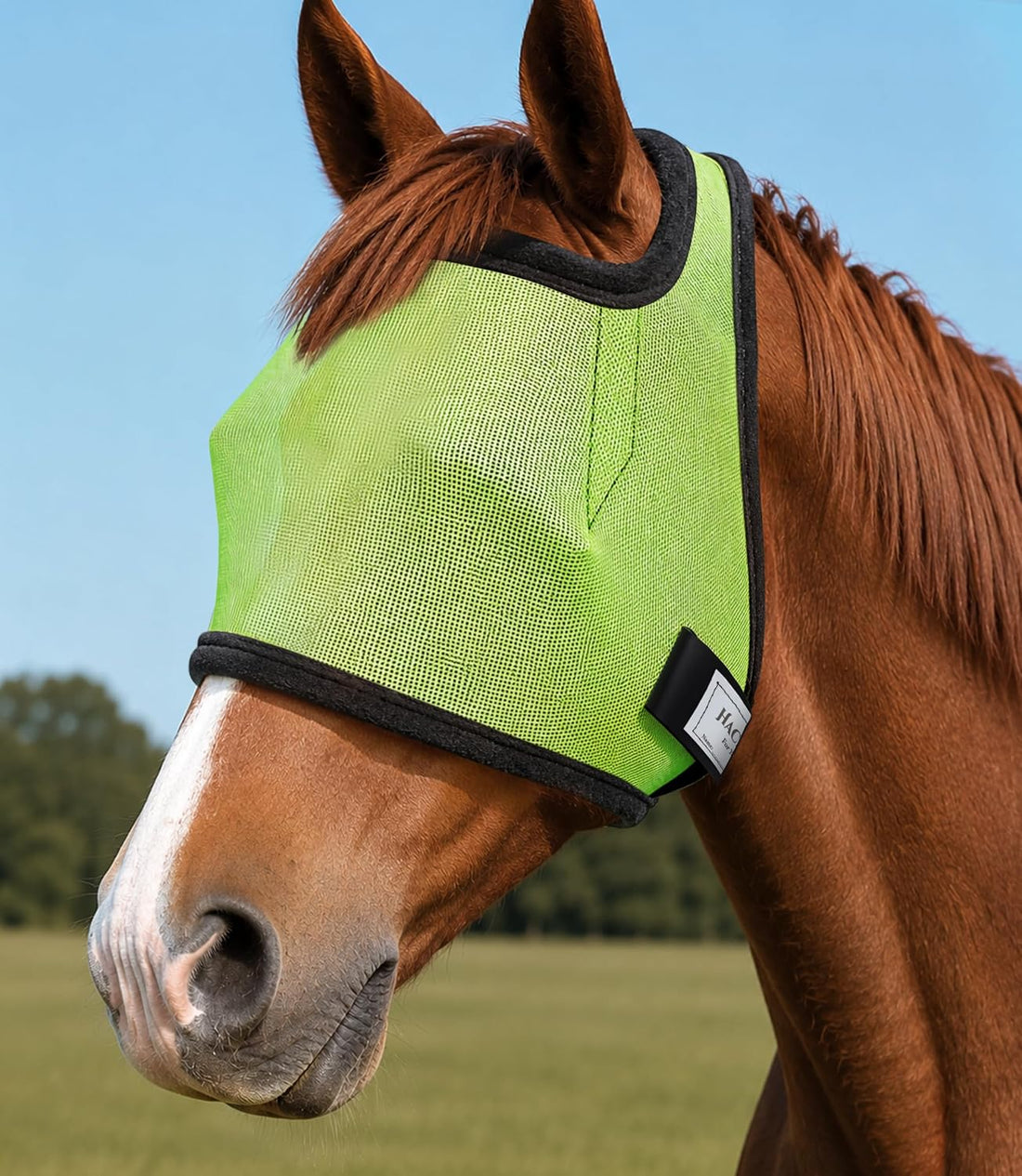 Fly Masks for Horses Without Ears, Horse Fly Mask