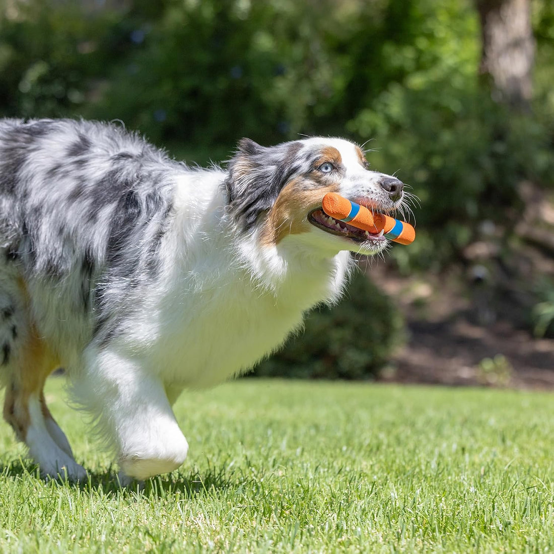 Chuckit! Ultra Fetch Stick Interactive Dog Toy, 12in, 2 Pack