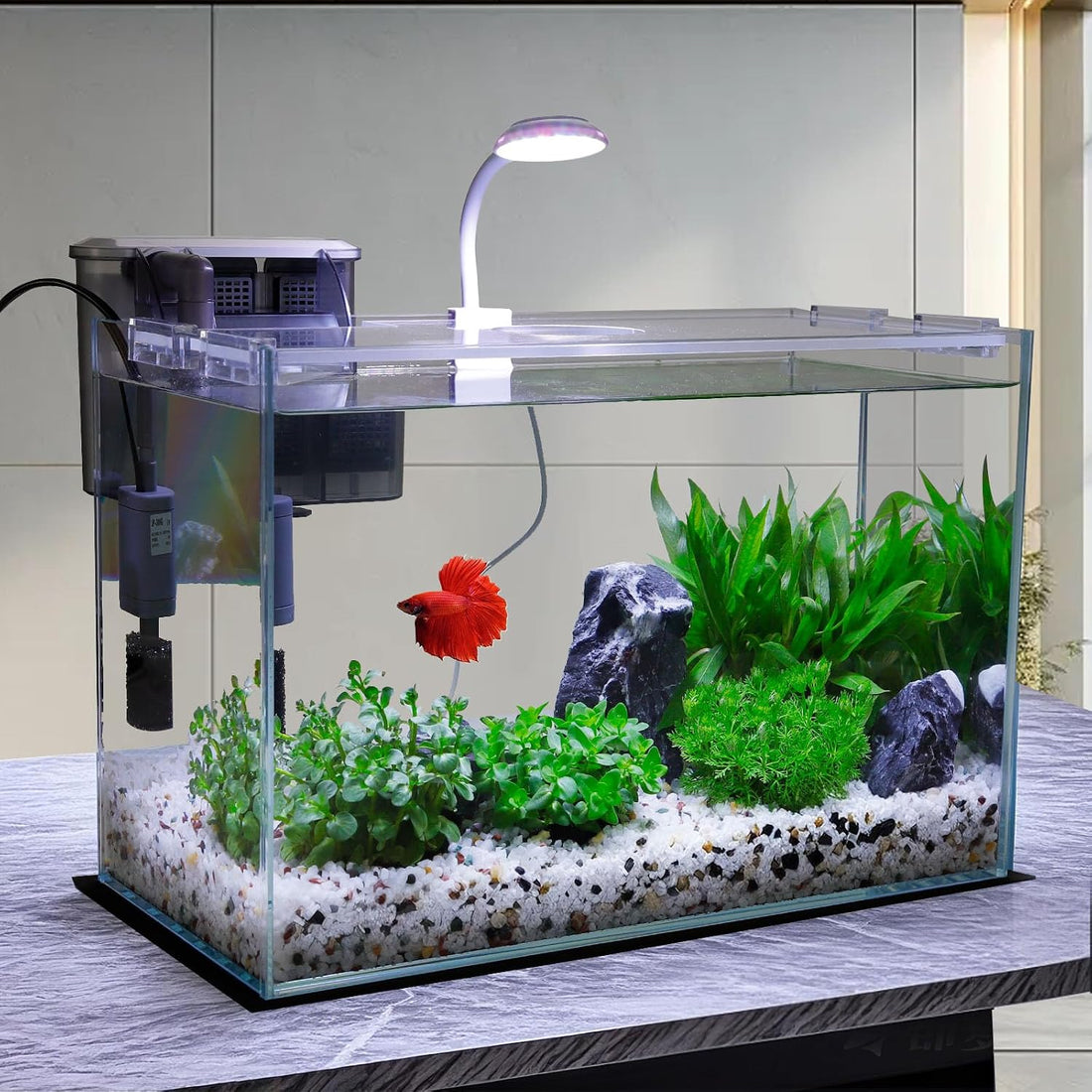 Vimvins 3 Gallon Glass Small Fish Tank