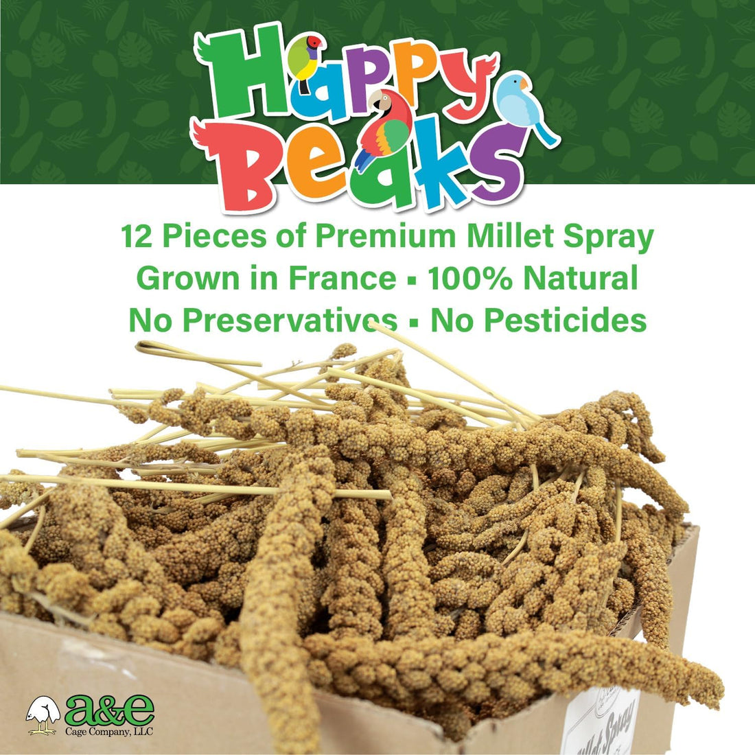 A&E Cage Co AE9054 Premium French Spray Millet for Birds