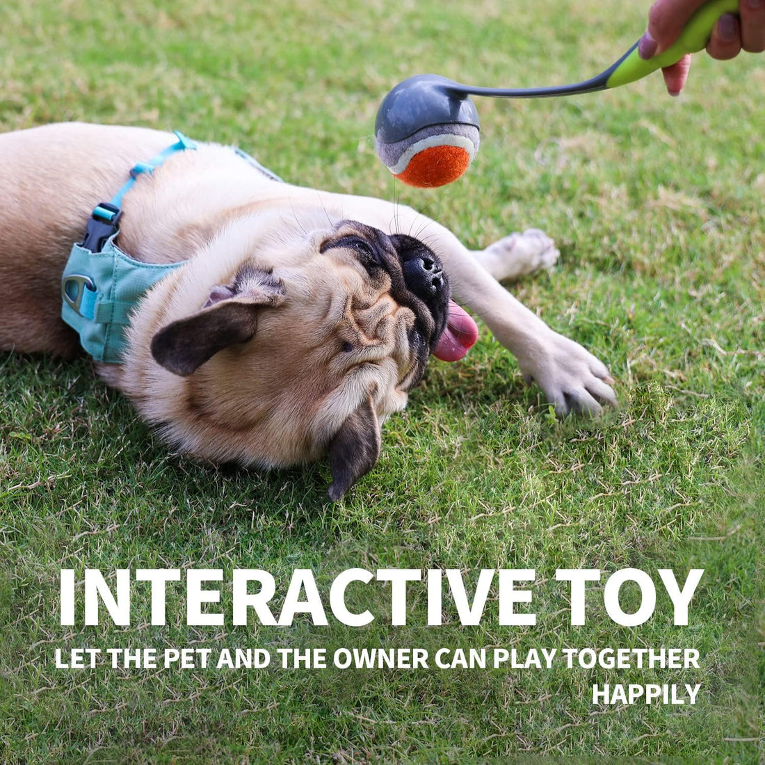 PAWISE Dog Ball Launcher for Small & Medium Dogs