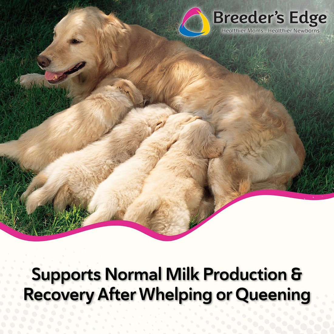 Breeder's Edge Oxy Momma Postnatal Soft Chews, Medium & Large Dogs