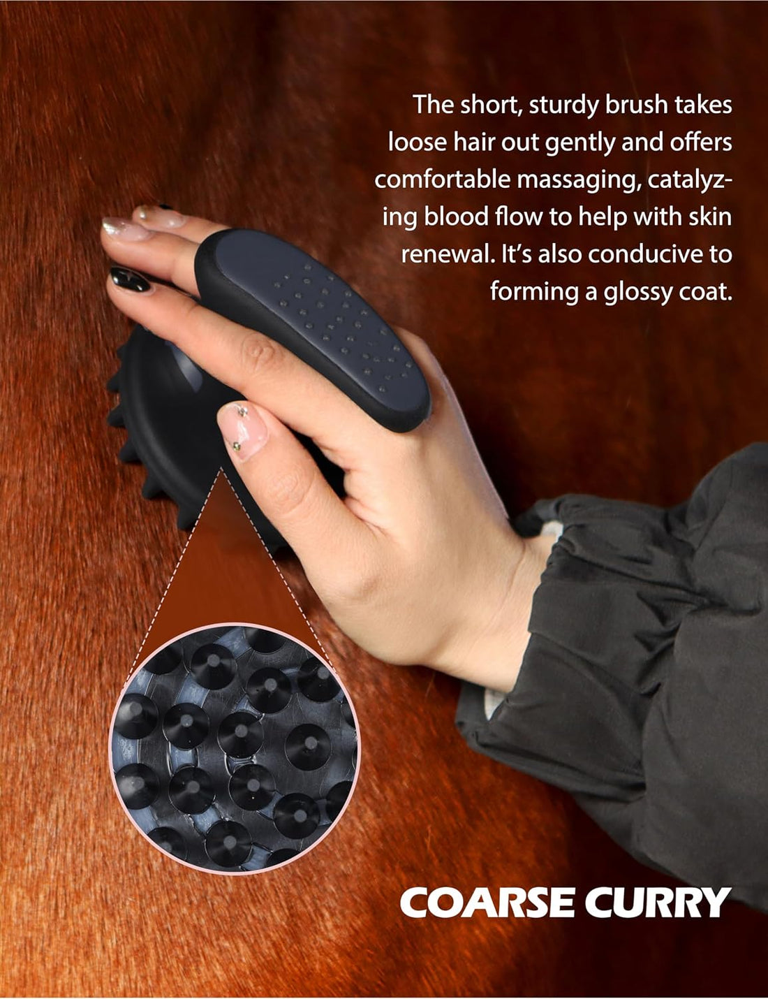 Harrison Howard 9 Piece Horse Brush Set with Organizer Tote Bag