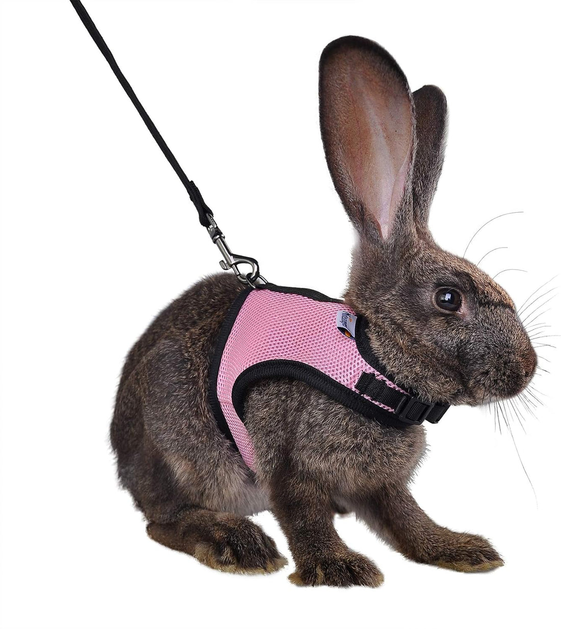 Niteangel Adjustable Soft Harness with Elastic Leash for Rabbits