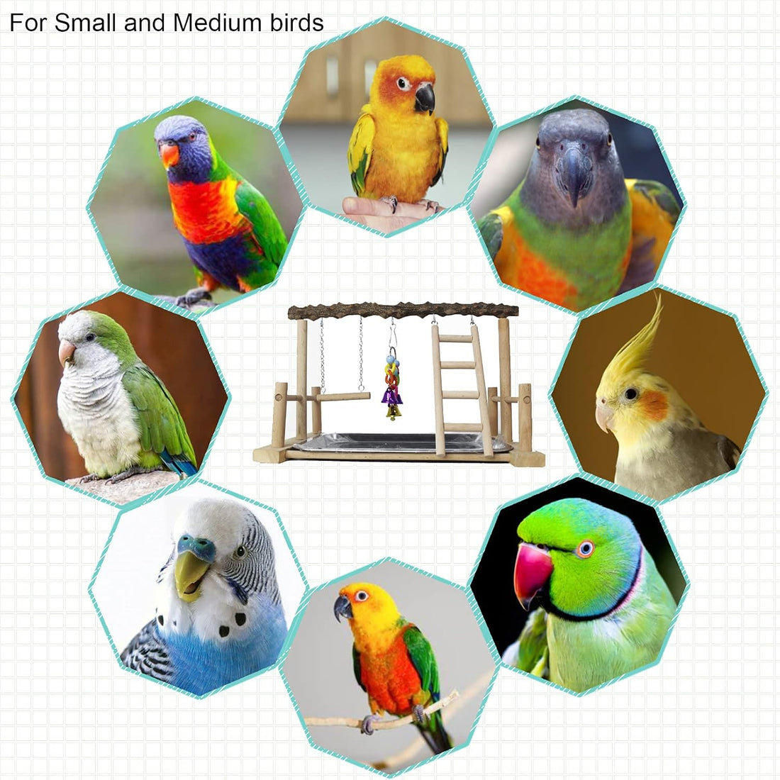 kathson Bird Playground,Parrots Play Gym,Parakeet Play Stand