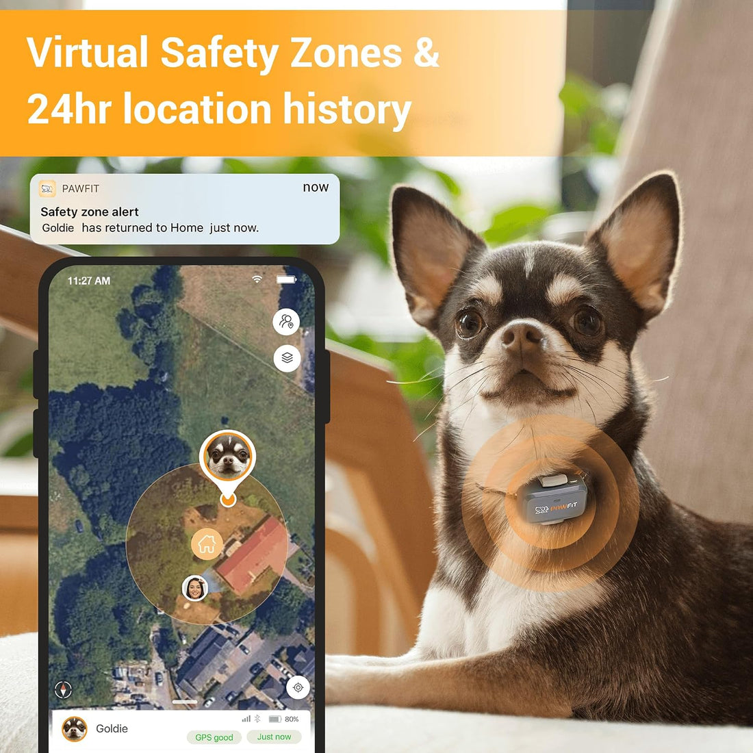 Pawfit Lite 4G GPS Dog Tracker, Live Tracking, Ultra-Light