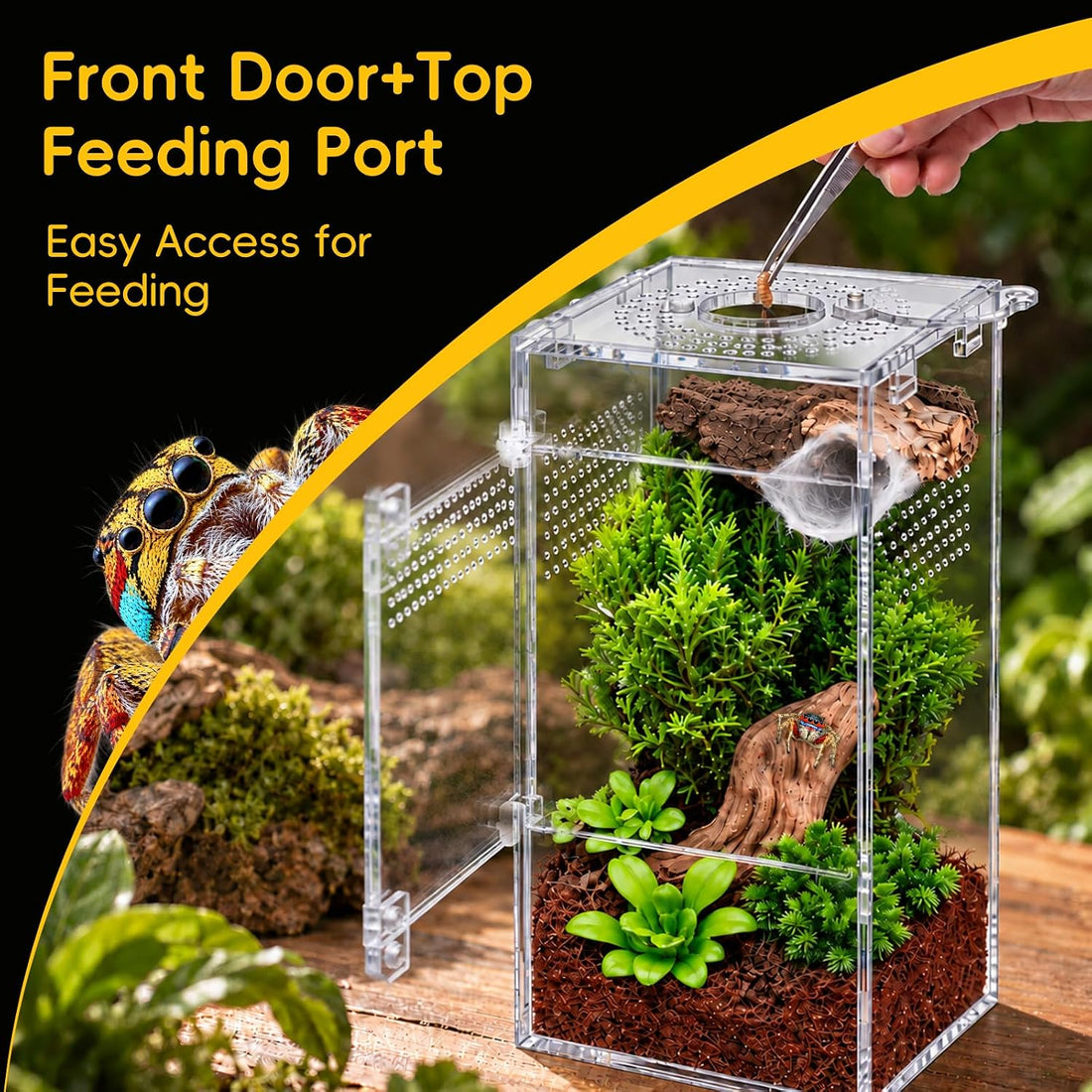 3''x3'‘x6'' Jumping Spider Enclosure Kit,Pre-Assembled PC Terrarium
