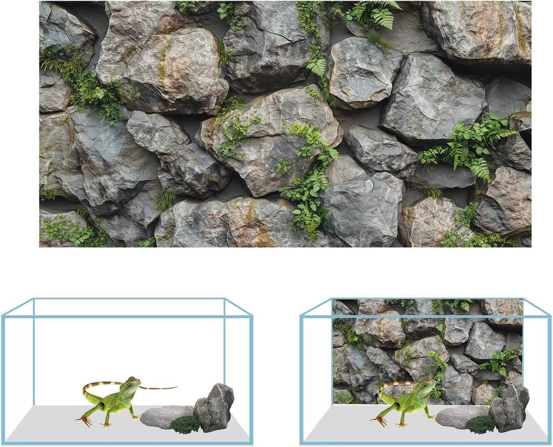 COMSUN 3 PCS Terrarium Background